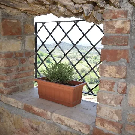 Nido Dell'Aquila