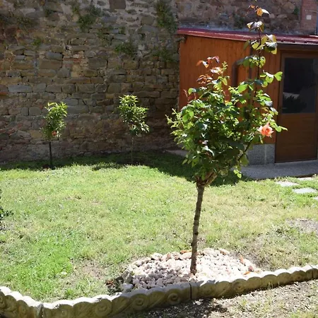 Nido Dell'Aquila Scarlino